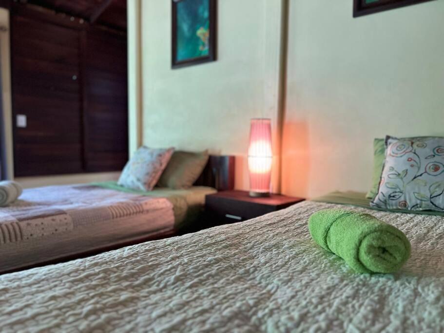 Casita Lidia Bijagua Bed and Breakfast Εξωτερικό φωτογραφία